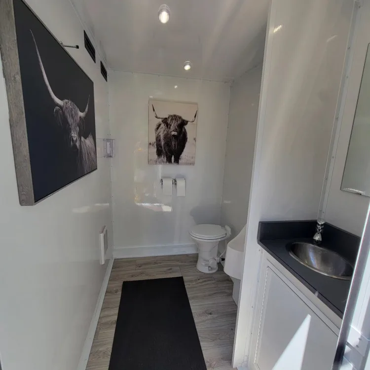 Interior hallway with toilet, sink and framed Highland-cow artwork