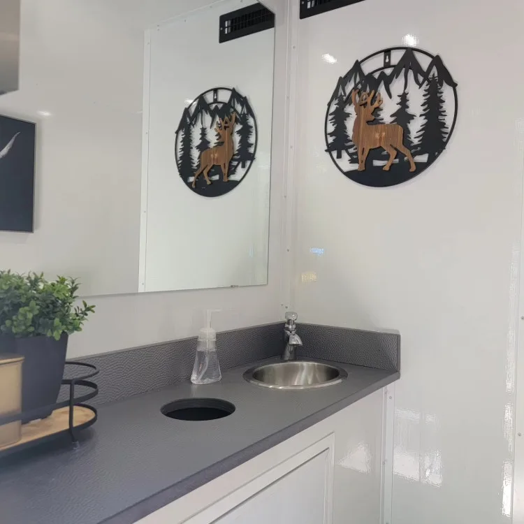 Interior vanity with mirror, plant and framed deer-and-mountain artwork